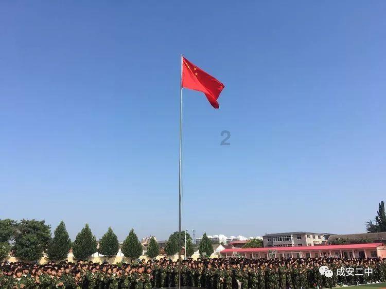 奔跑的兔子